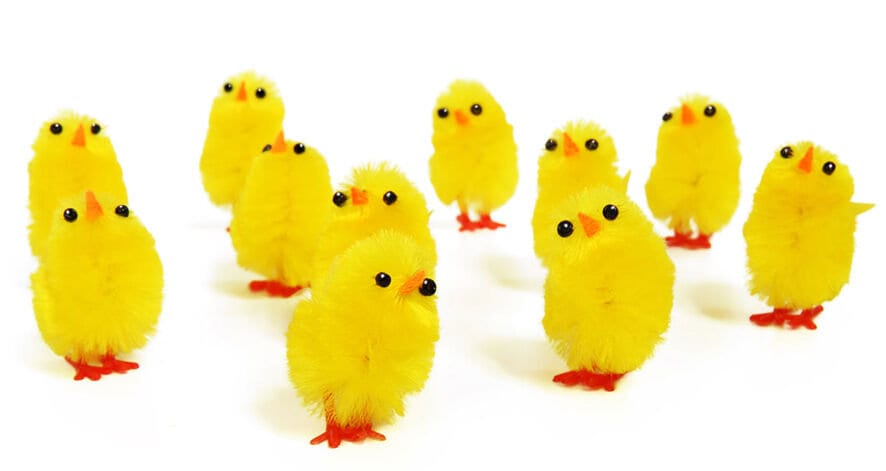 mini Easter Chicks yellow bunny butterflies nests for bonnets hats & craft's Mini yellow small chickens Keechi & co.