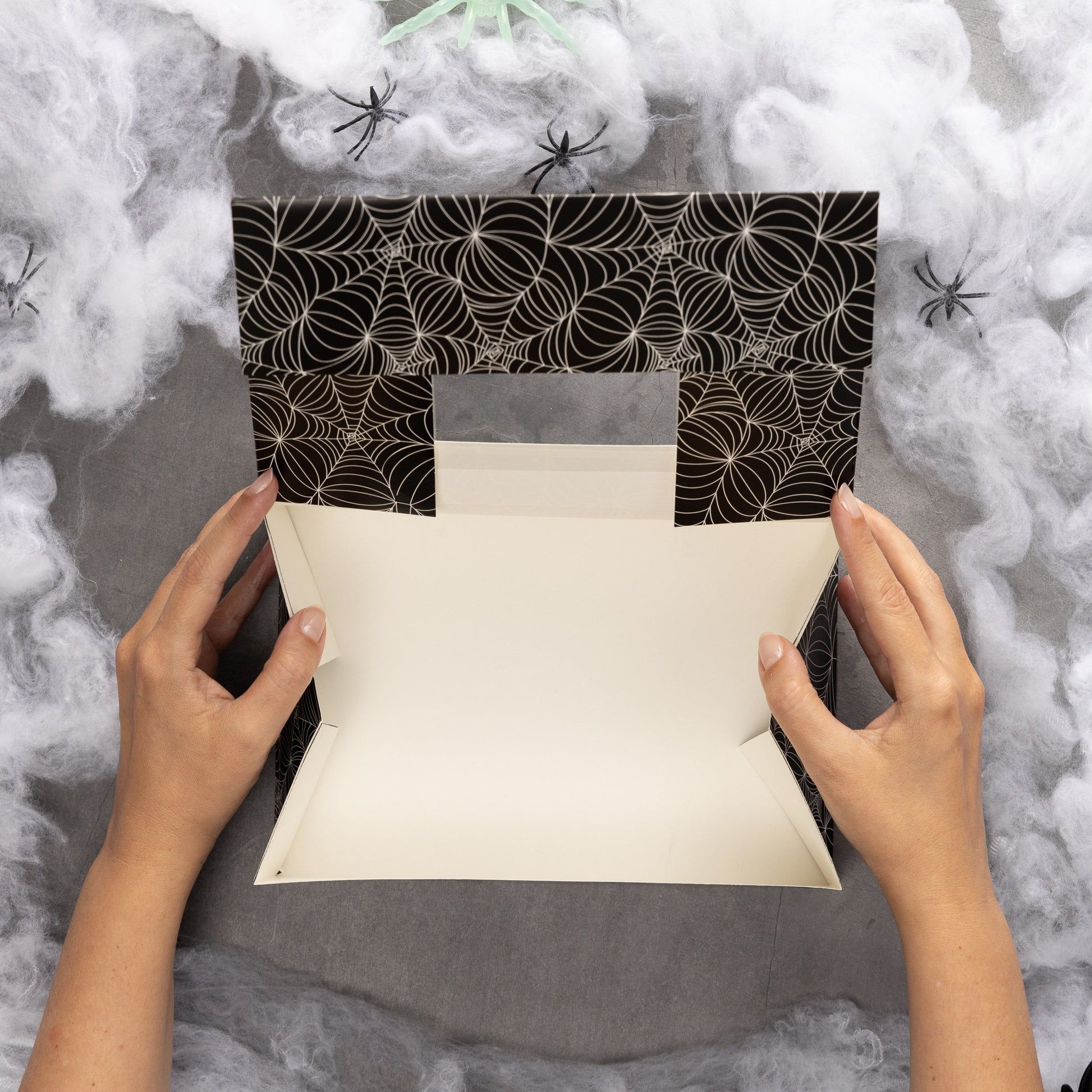 2 to 10 Halloween 6 Hole Cupcake Boxes Black Orange Cobweb Pumpkin Windowed Insert Etsy