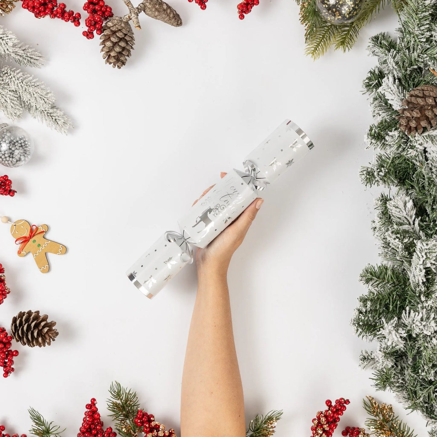 12 Make Your Own Christmas Cracker kit Crackers Hats Snaps silver deer Keechi & co.