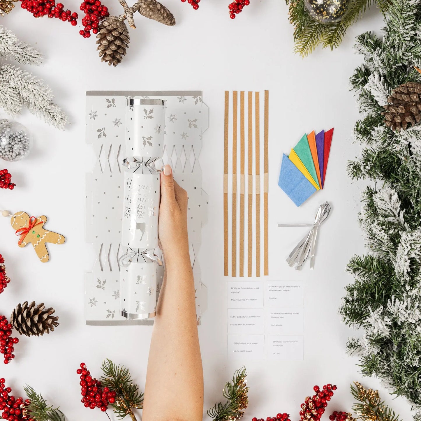 12 Make Your Own Christmas Cracker kit Crackers Hats Snaps silver deer Keechi & co.