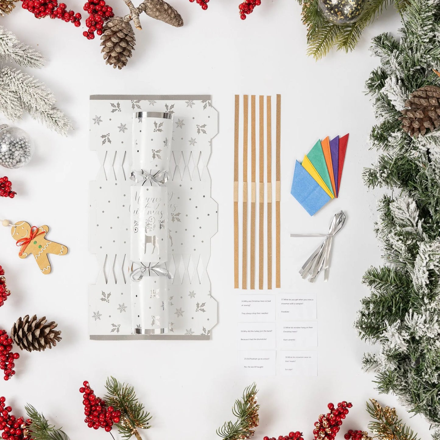 12 Make Your Own Christmas Cracker kit Crackers Hats Snaps silver deer Keechi & co.