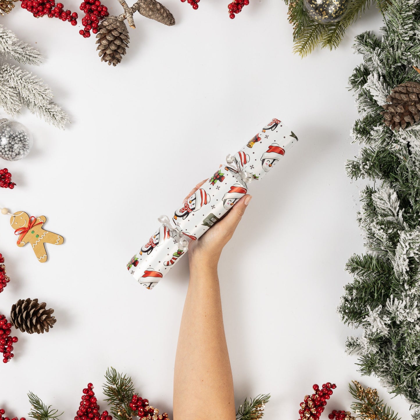 Make Your Own Christmas Cracker kit Crackers Hats Snaps penguin Keechi & co.
