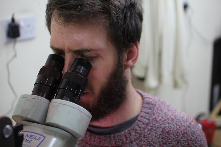 Hand Carved Pencil Sculpture: Limited Edition Heart - Blue Etsy