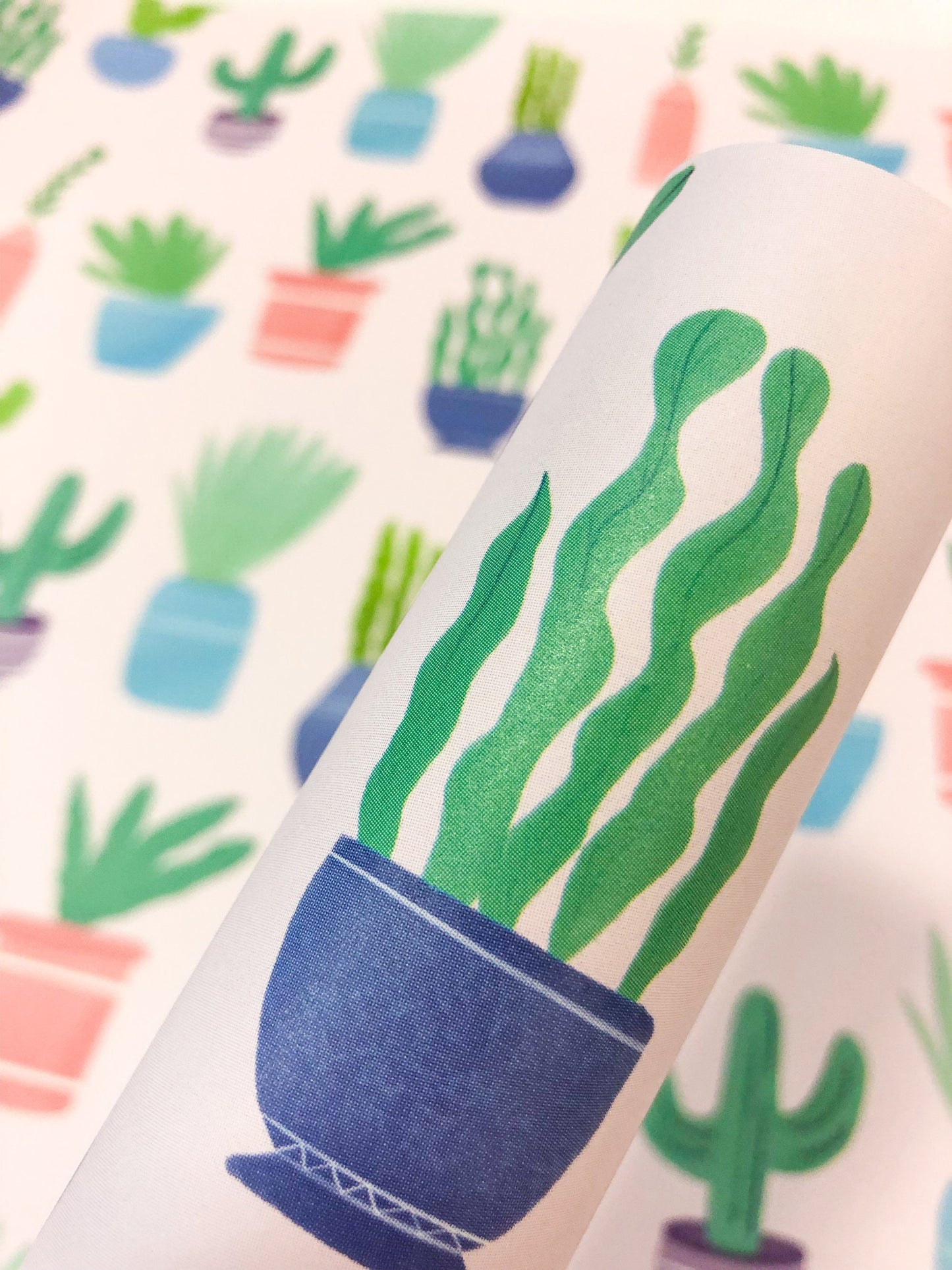 Houseplant Gift Wrap: Cactus Print, Recyclable Paper (3 Sheets)