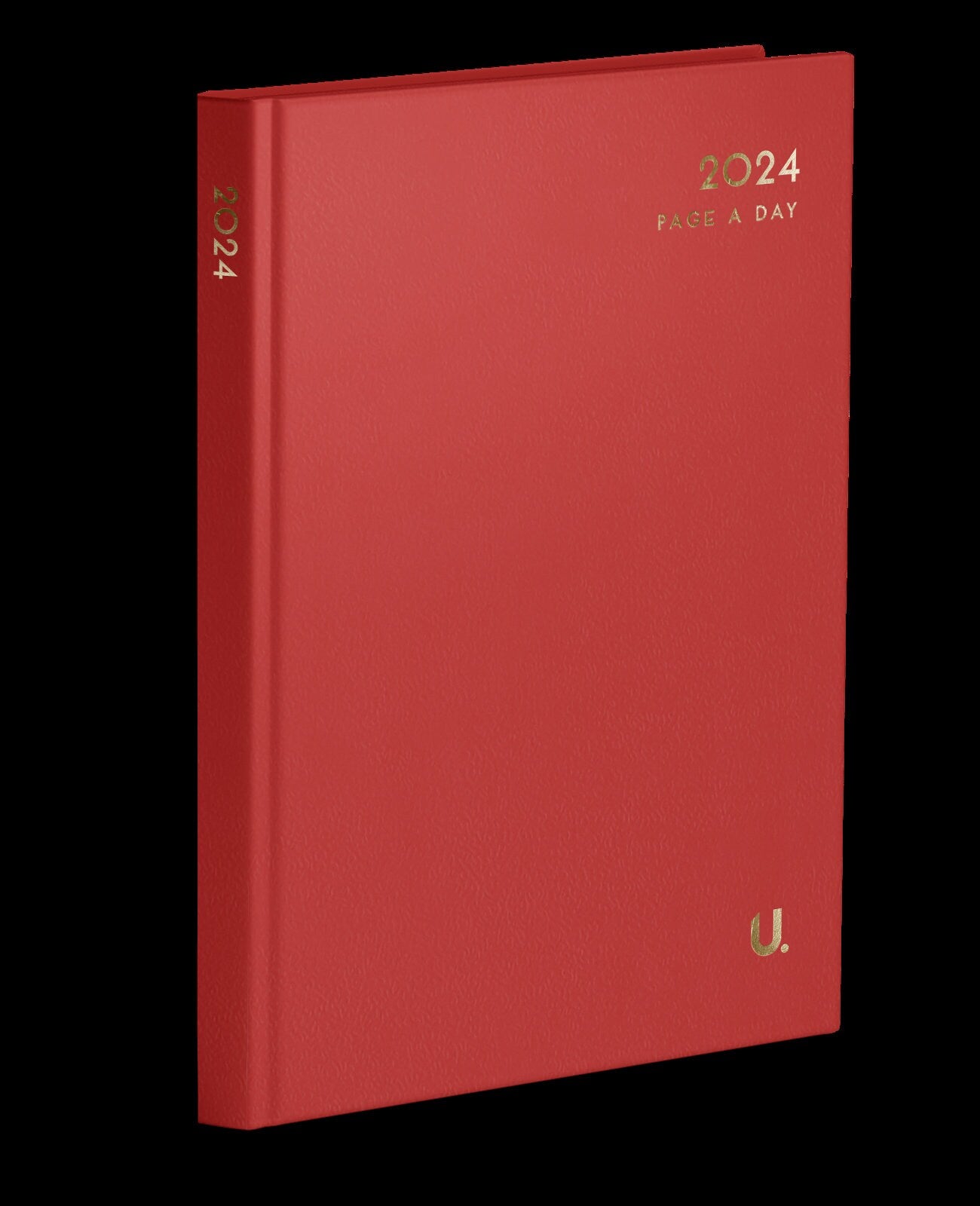 2024 A4 Page A Day for EVERY Day Diary Full Year Planner Organiser With Times