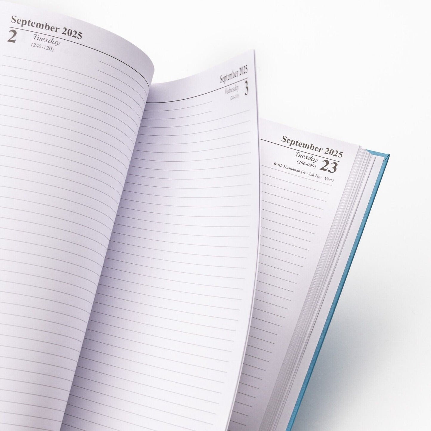 2025 A4 A5 A6 Day to Page or Week To View Diary Full Year Planner Desk Hardback