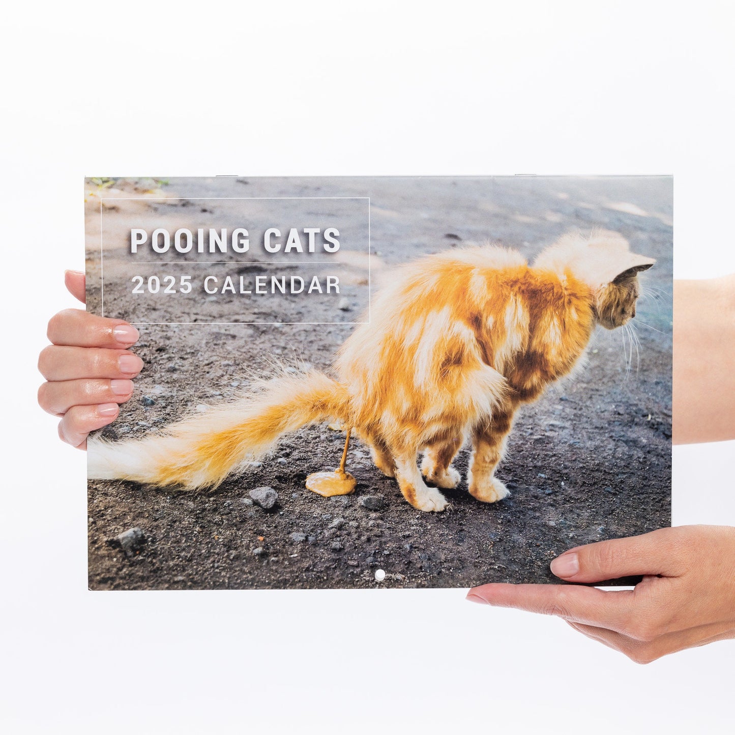 2025 Funny Pooing Cats Calendar: Monthly Wall Planner