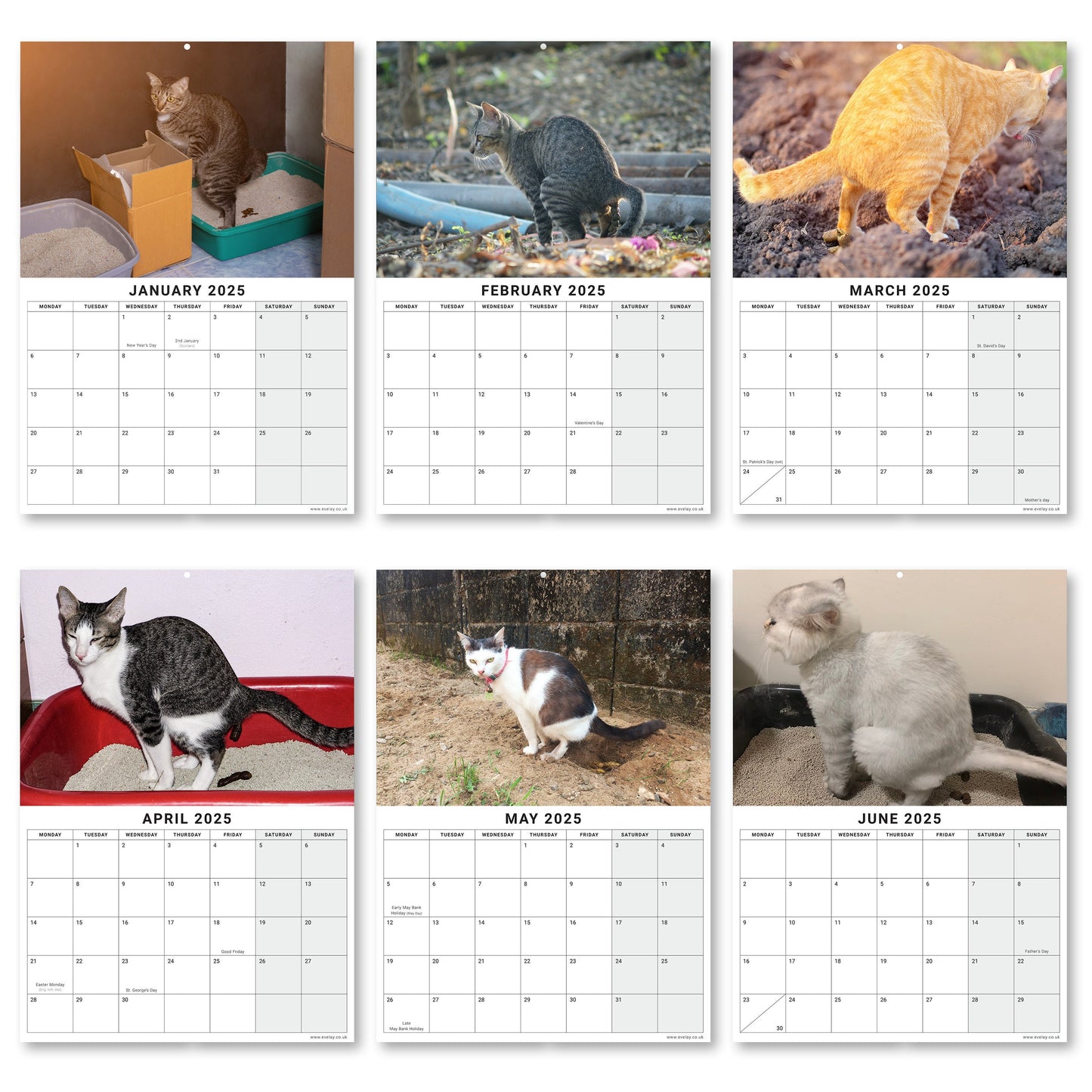 2025 Funny Pooing Cats Calendar: Monthly Wall Planner