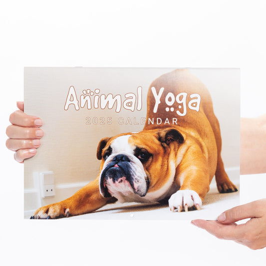 2025 Calendar Animal Yoga Wall Monthly Planner Family Home Organiser Funny Etsy