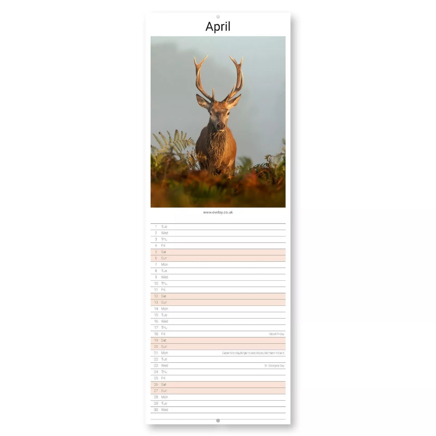2025 Wildlife Slim Month To View Wall Office Home Planner Organiser Calendar
