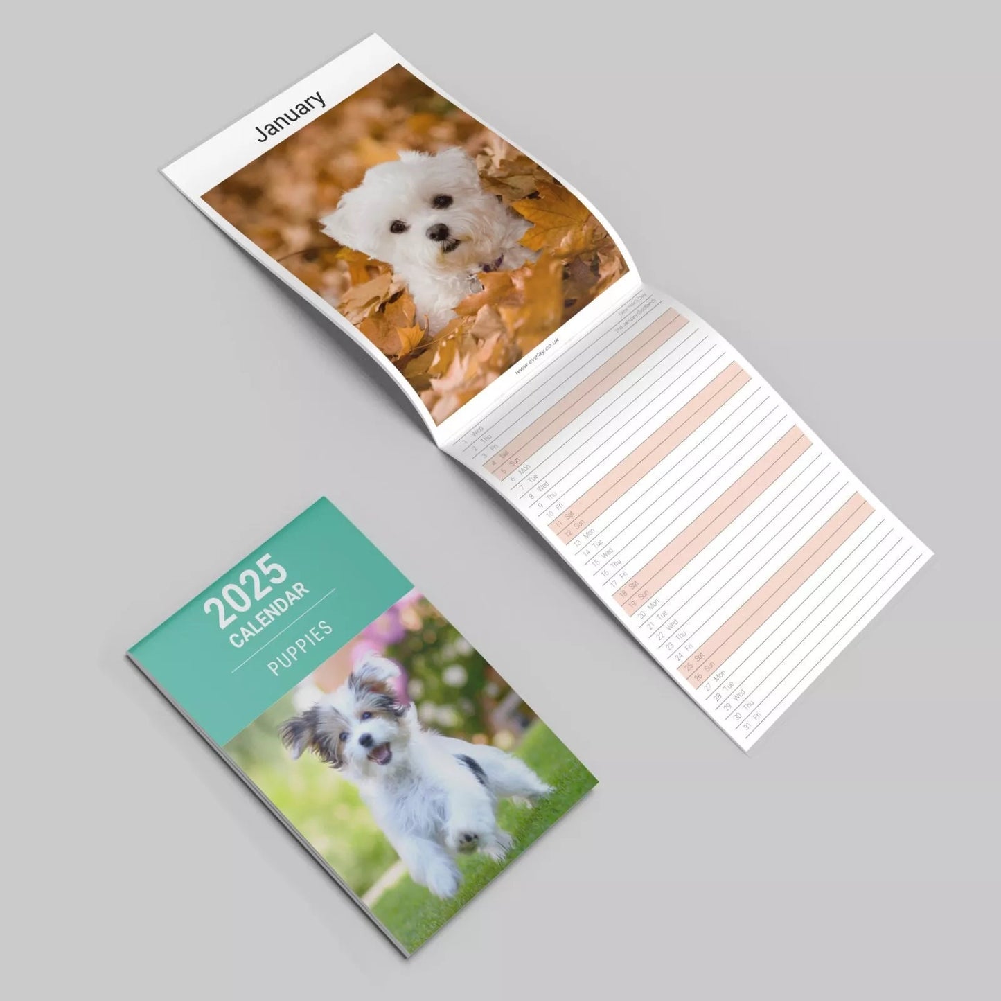 2025 Puppies Slim Wall Calendar: Home Office Planner