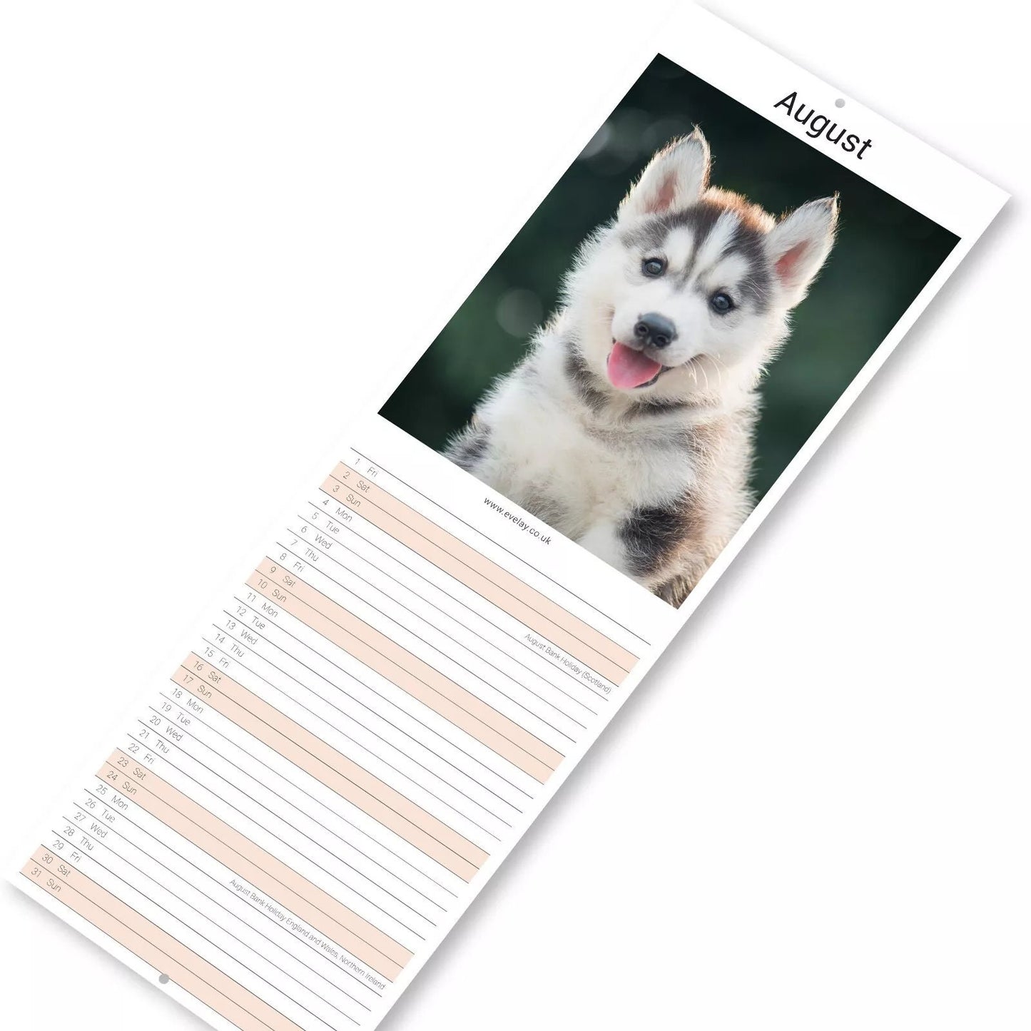 2025 Puppies Slim Wall Calendar: Home Office Planner