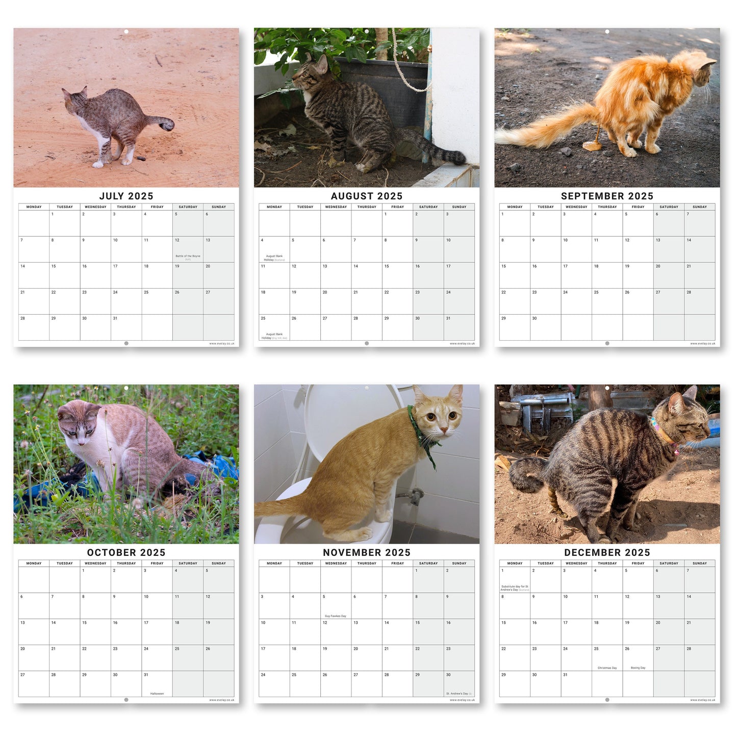 2025 Funny Pooing Cats Calendar: Monthly Wall Planner