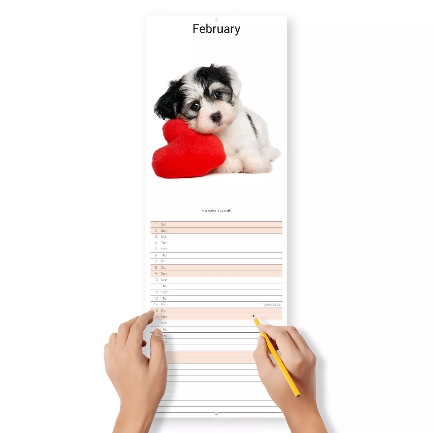 2025 Puppies Slim Wall Calendar: Home Office Planner