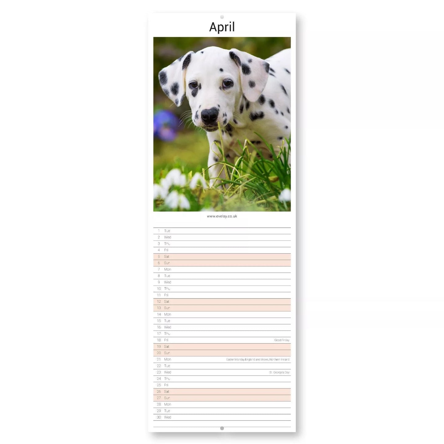 2025 Puppies Slim Wall Calendar: Home Office Planner
