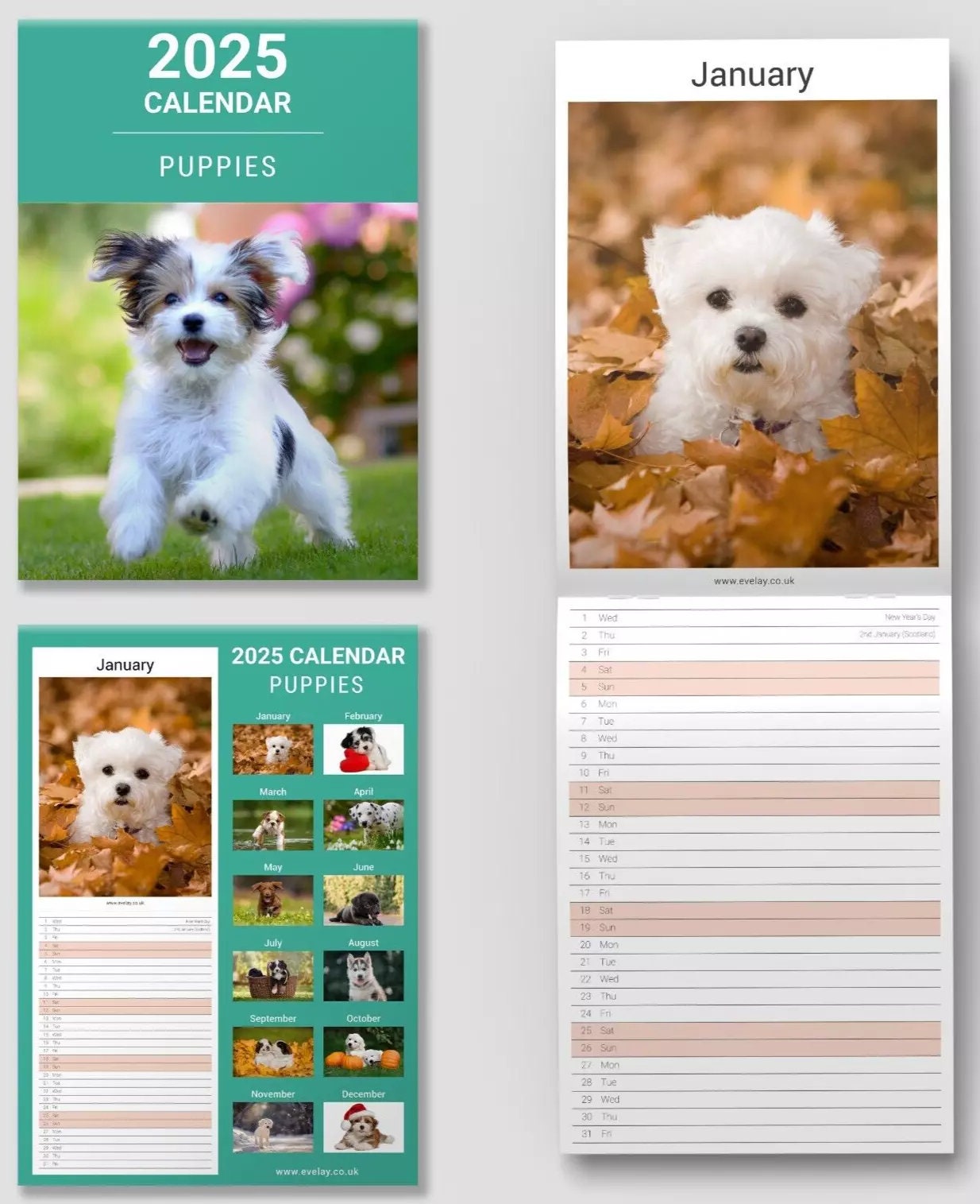 2025 Puppies Slim Wall Calendar: Home Office Planner