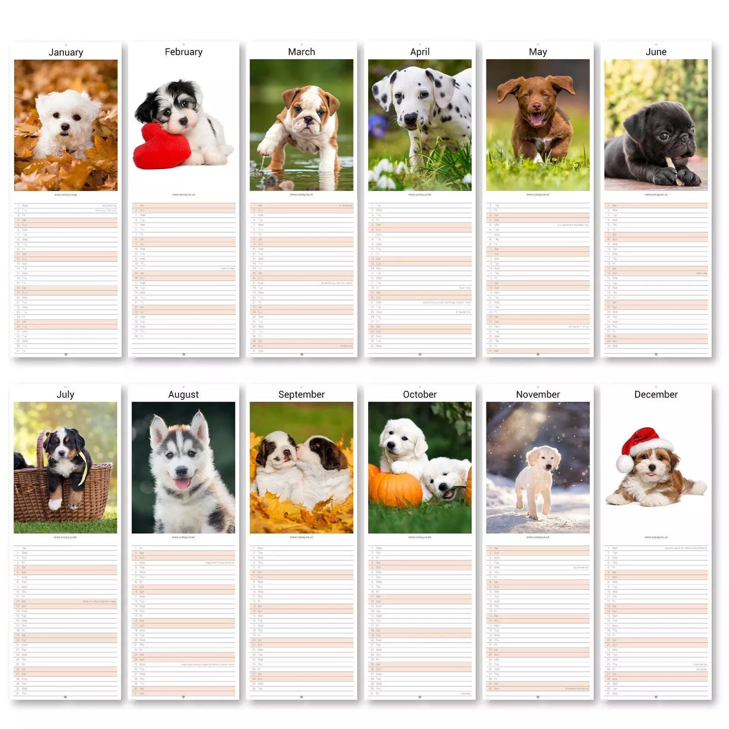 2025 Puppies Slim Wall Calendar: Home Office Planner