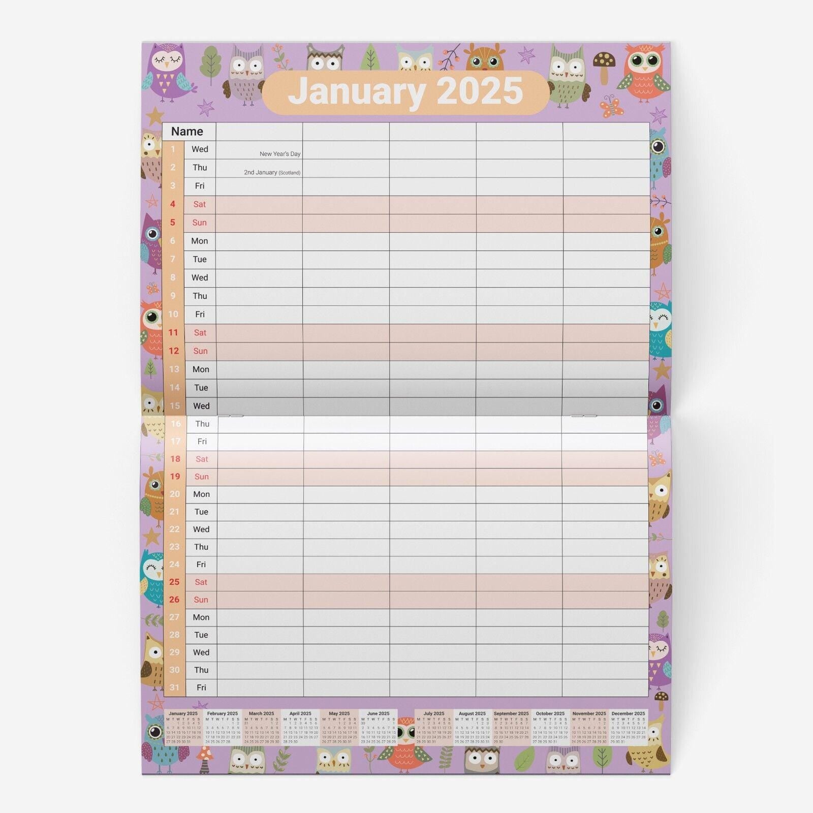 2025 Calendar Wall Monthly Planner Staff Rota Family Organiser Owls Etsy