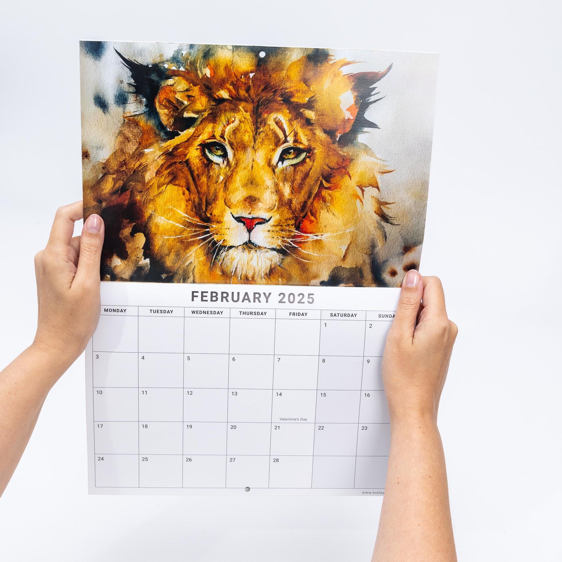 2025 Calendar Watercolour Animals Wall Monthly Planner Family Home Organiser Etsy