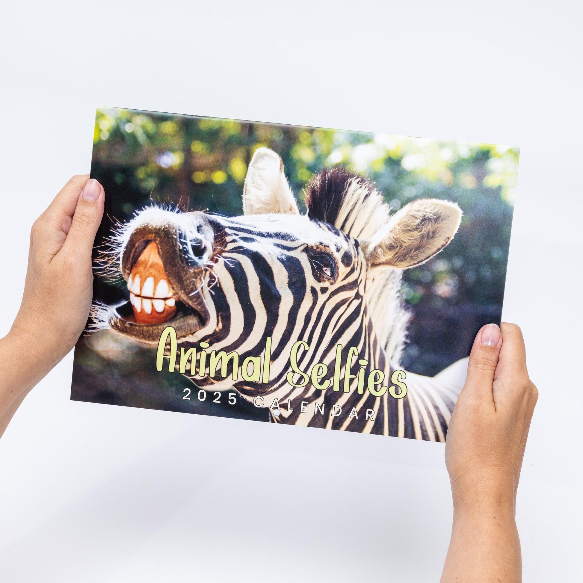 2025 Animal Selfies Calendar: Monthly Wall Planner Etsy