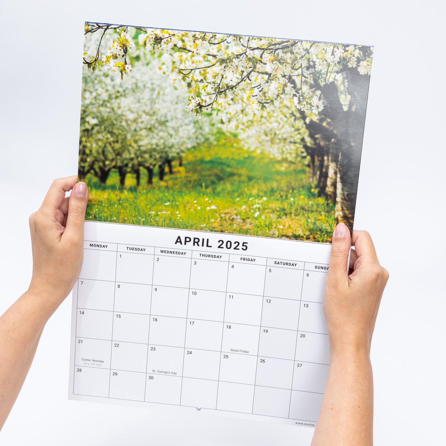 2025 Calendar Seasons Wall Monthly Planner Family Home Organiser 12 Months Seasons Etsy