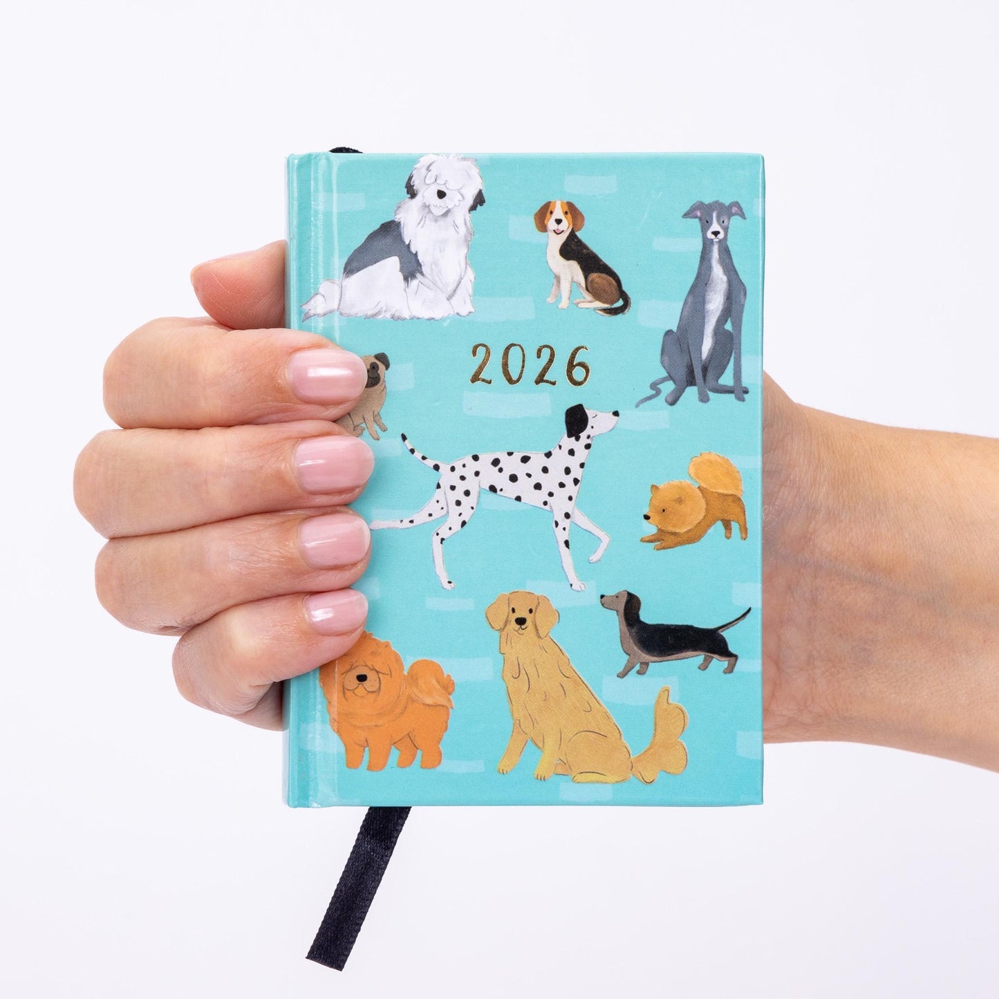 2026 A5 Diary: Week to View Planner with Dog Cover