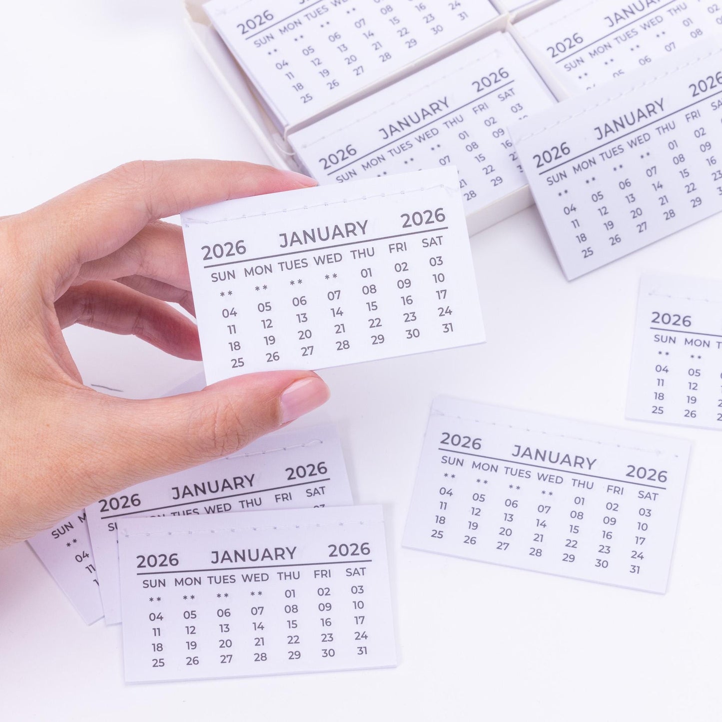 2026 Calendar Tabs Insert White Mini Calendar Tear Off Pads Month To View
