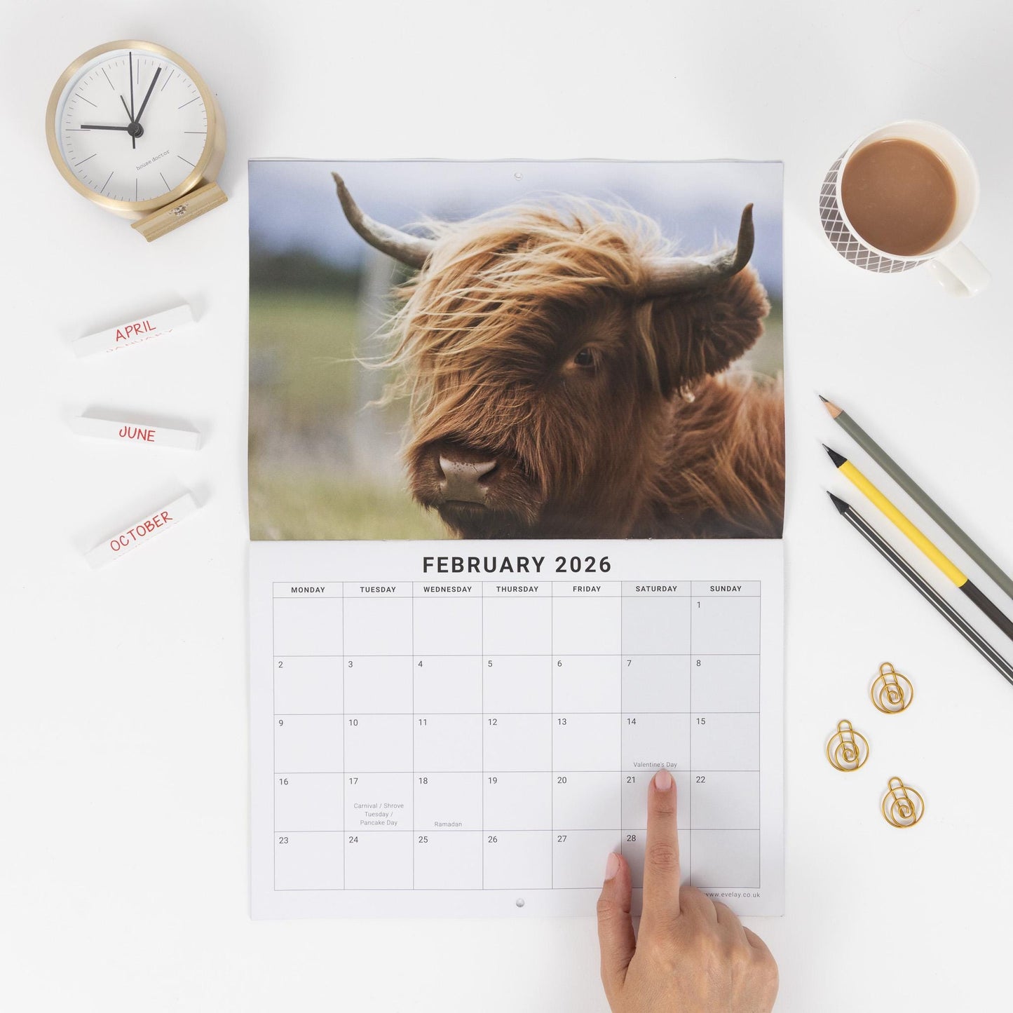 2026 Highland Cow Calendar Wall Monthly Planner Family Home Organiser
