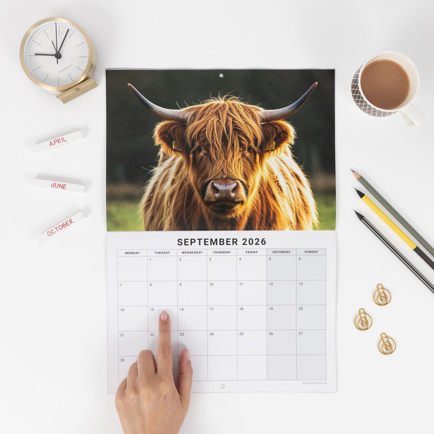 2026 Highland Cow Calendar Wall Monthly Planner Family Home Organiser