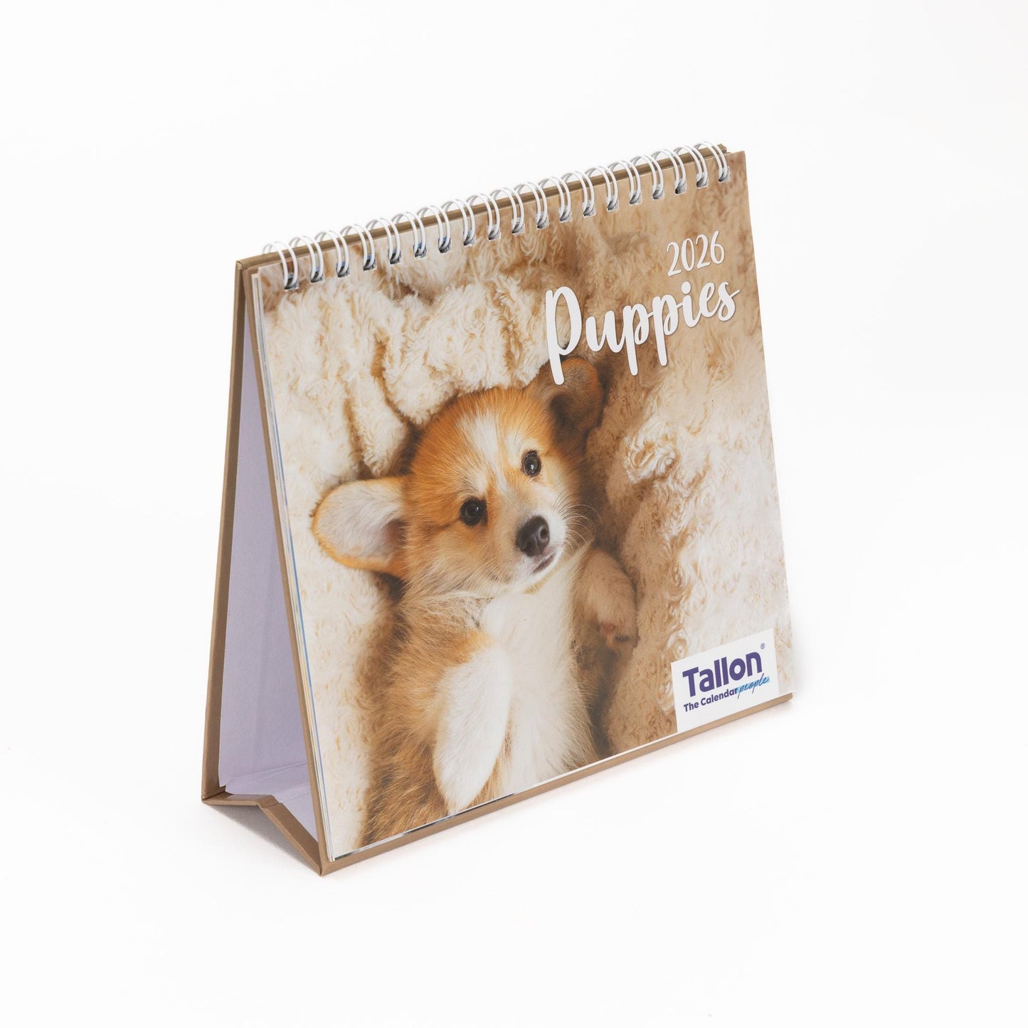 2026 Month to View Desk Calendar Home Office Table Work Top Planner Organiser