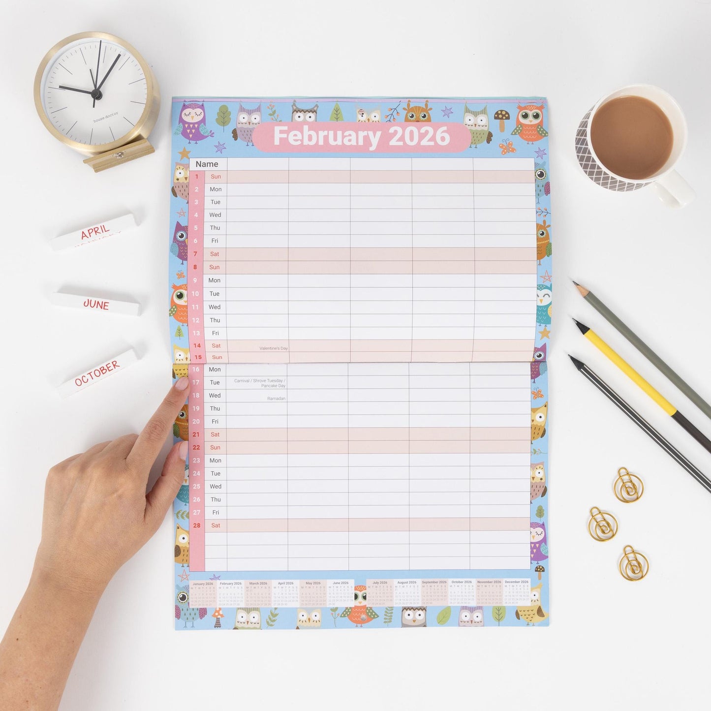 2026 A3 Wall Calendar 5 Columns Family Monthly Planner Staff Rota Family Organiser Month per View owl
