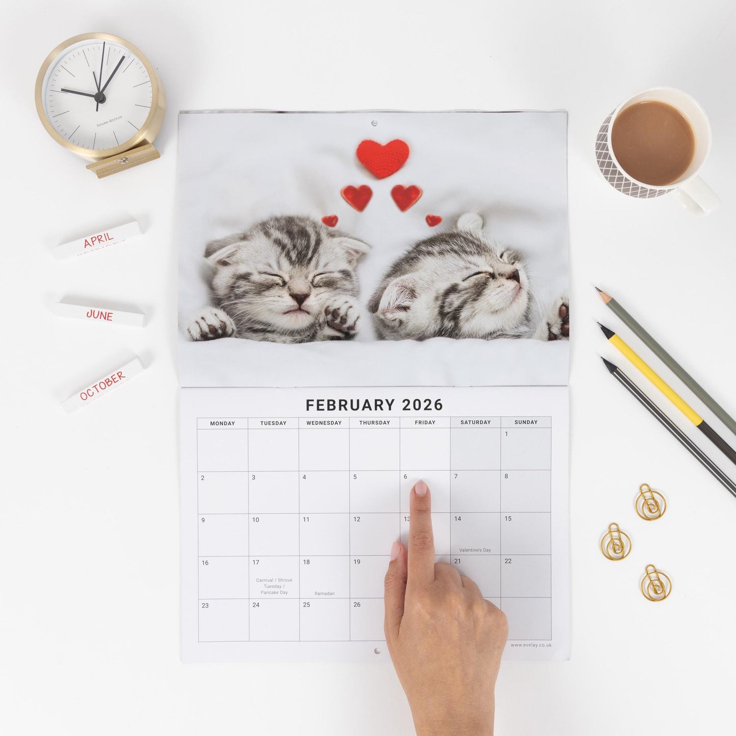 2026 Calendar Seasons Wall Monthly Planner Family Home Organiser 12 Months Seasons kitten