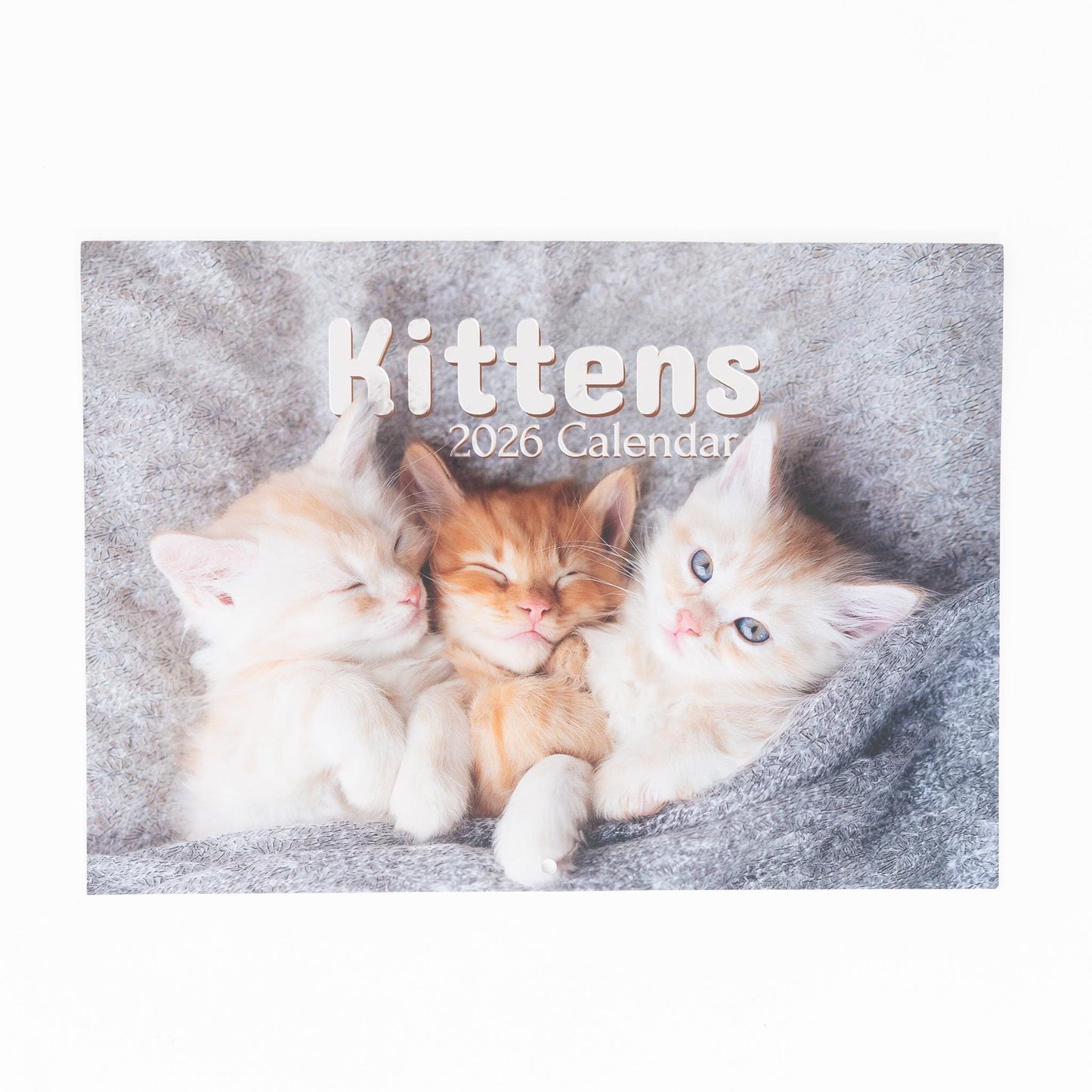 2026 Calendar Seasons Wall Monthly Planner Family Home Organiser 12 Months Seasons kitten