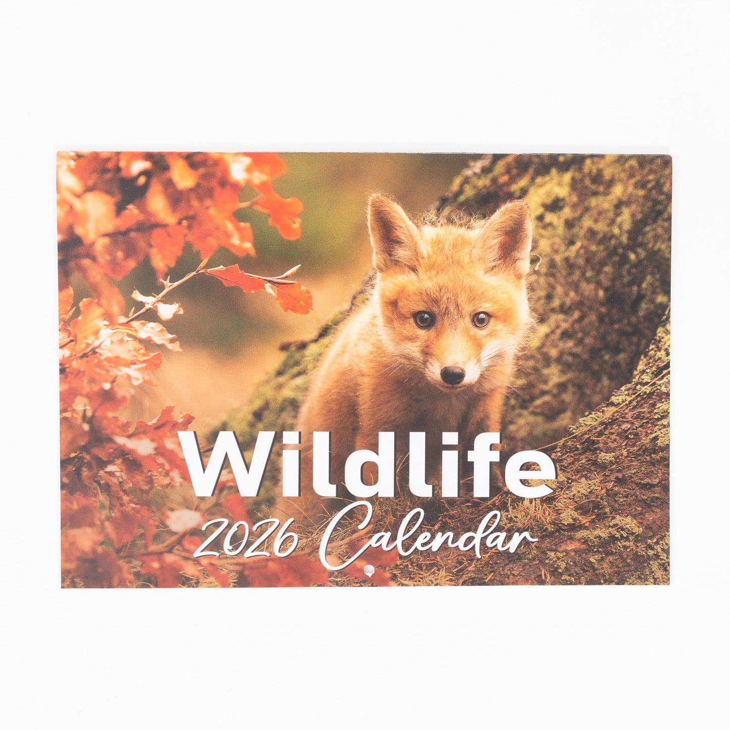 2026 British Wildlife Calendar Wall Monthly Planner Family Home Organiser