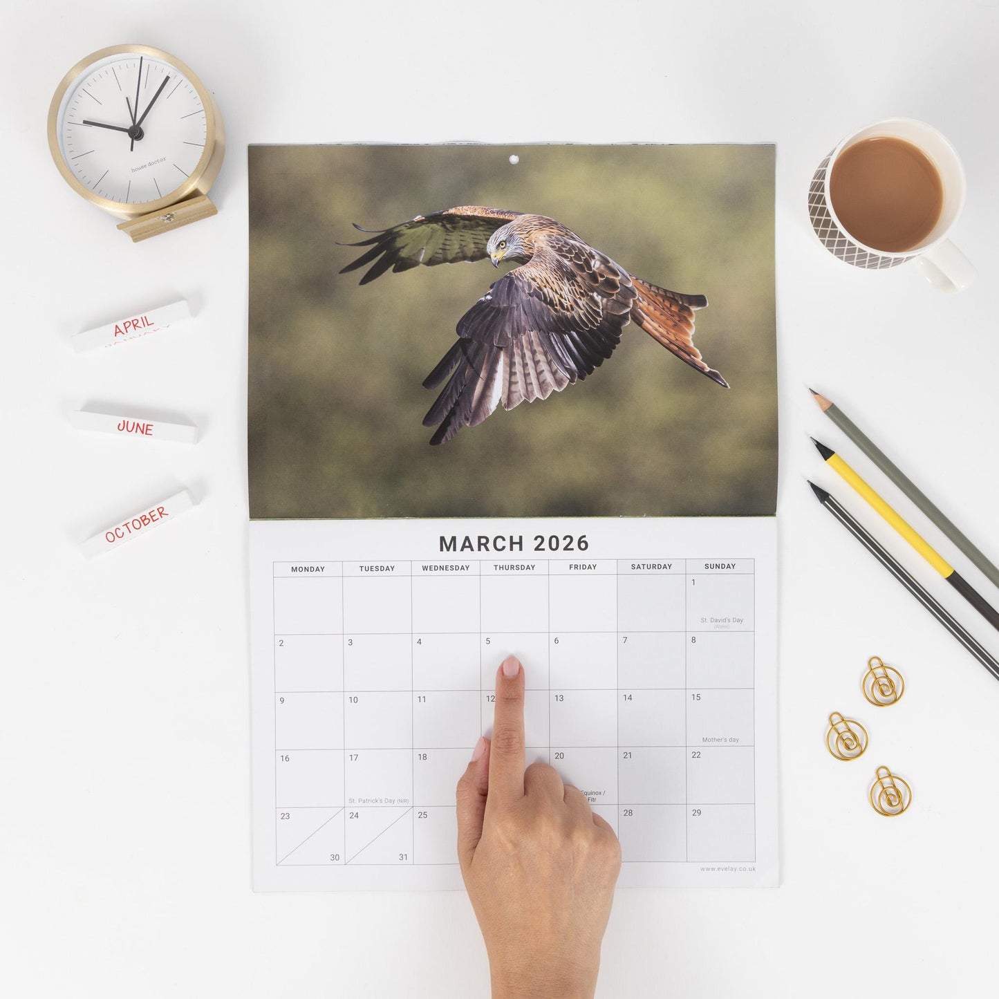 2026 British Wildlife Calendar Wall Monthly Planner Family Home Organiser