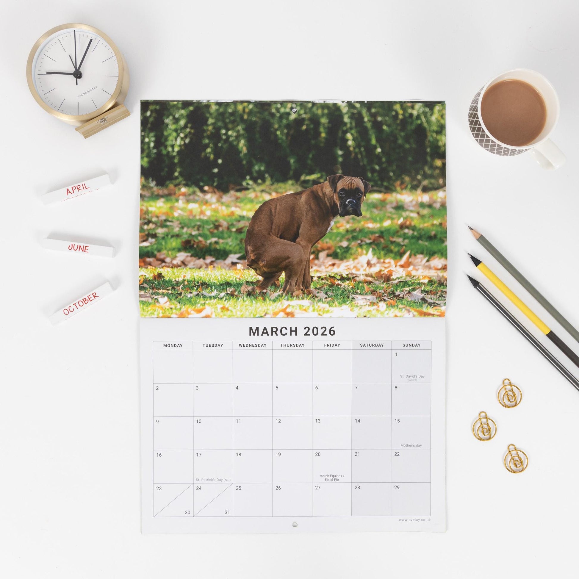 2026 Fun Pooing Dogs Calendar Wall Monthly Planner Staff Rota Secret Santa Gift Etsy