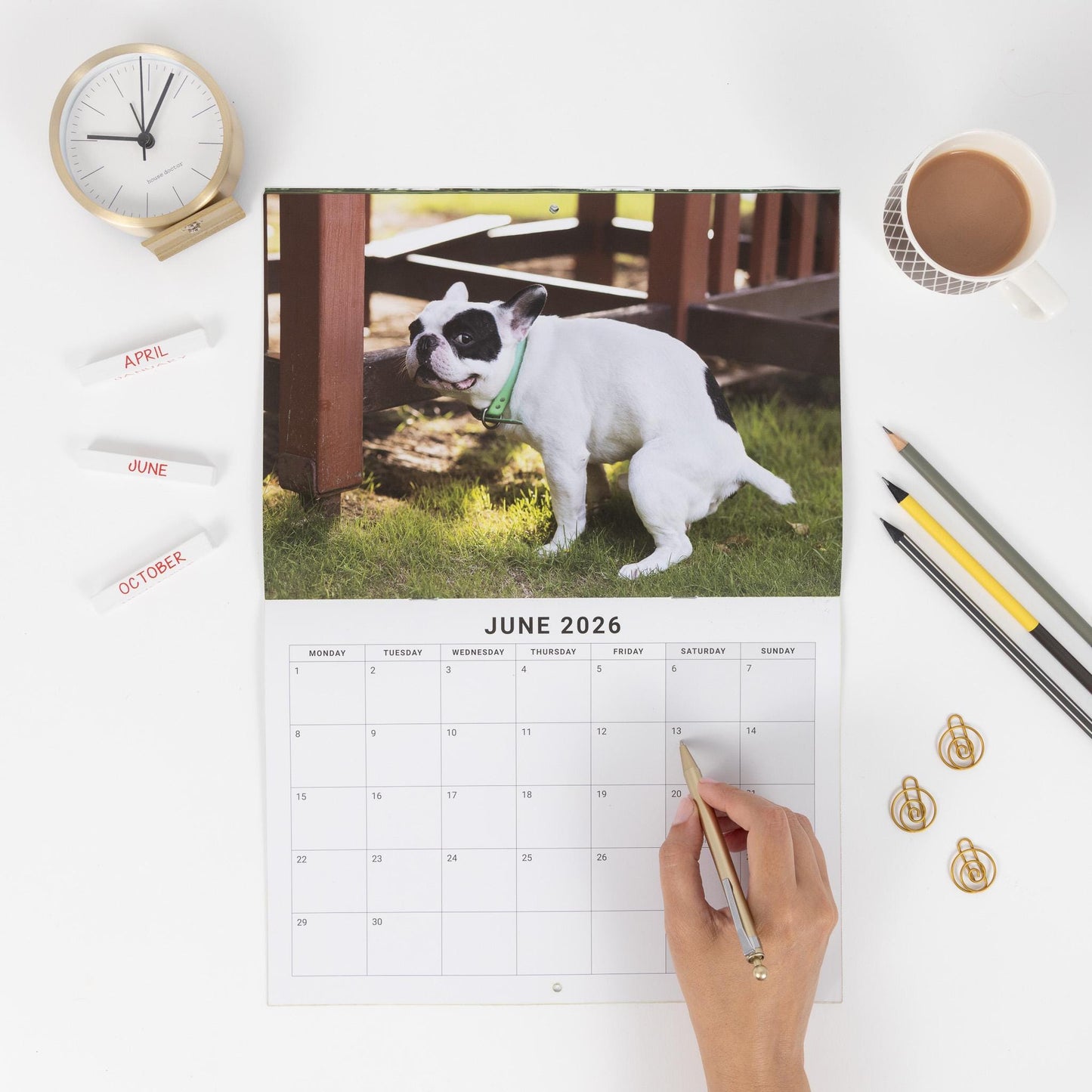 2026 Fun Pooing Dogs Calendar Wall Monthly Planner Staff Rota Secret Santa Gift