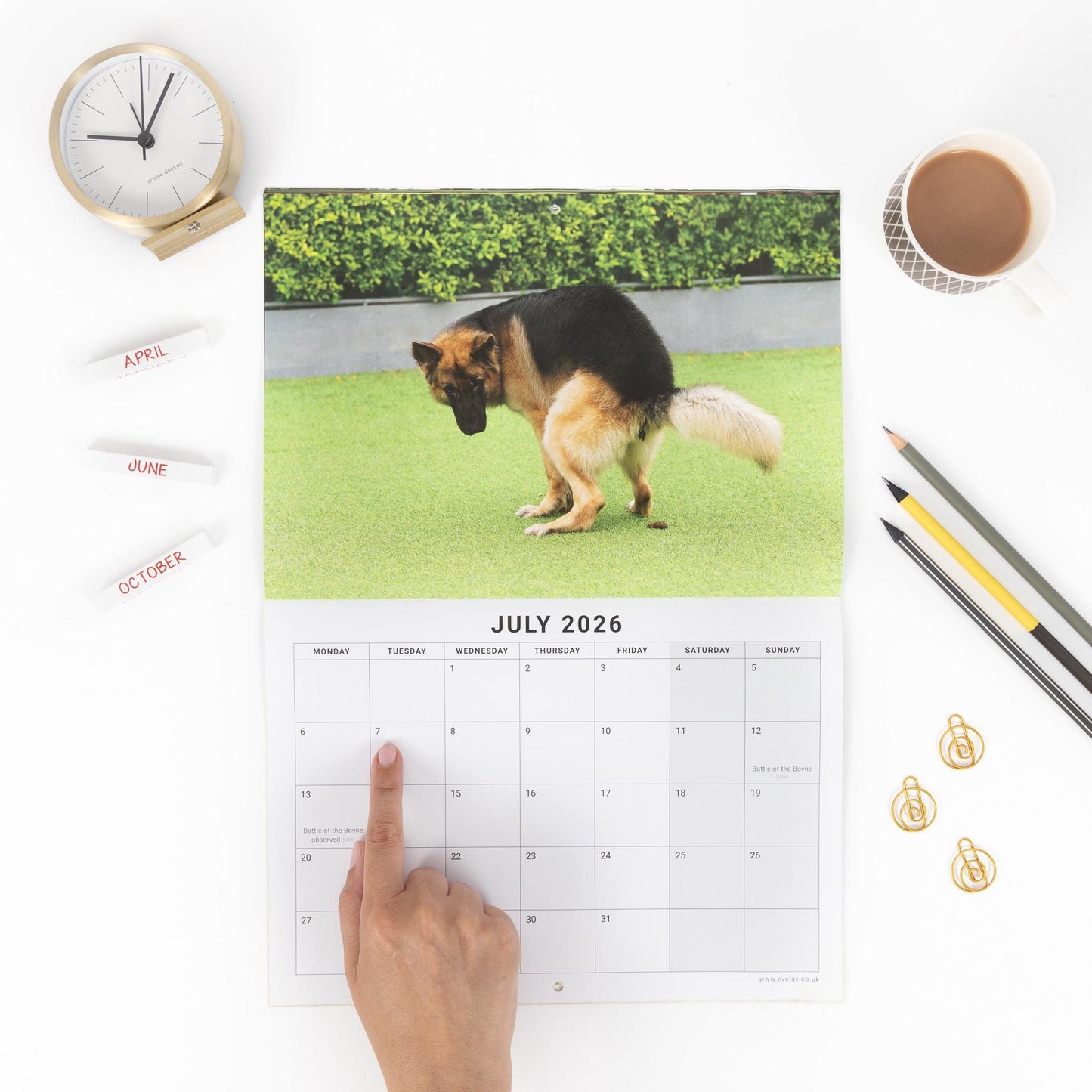 2026 Fun Pooing Dogs Calendar Wall Monthly Planner Staff Rota Secret Santa Gift