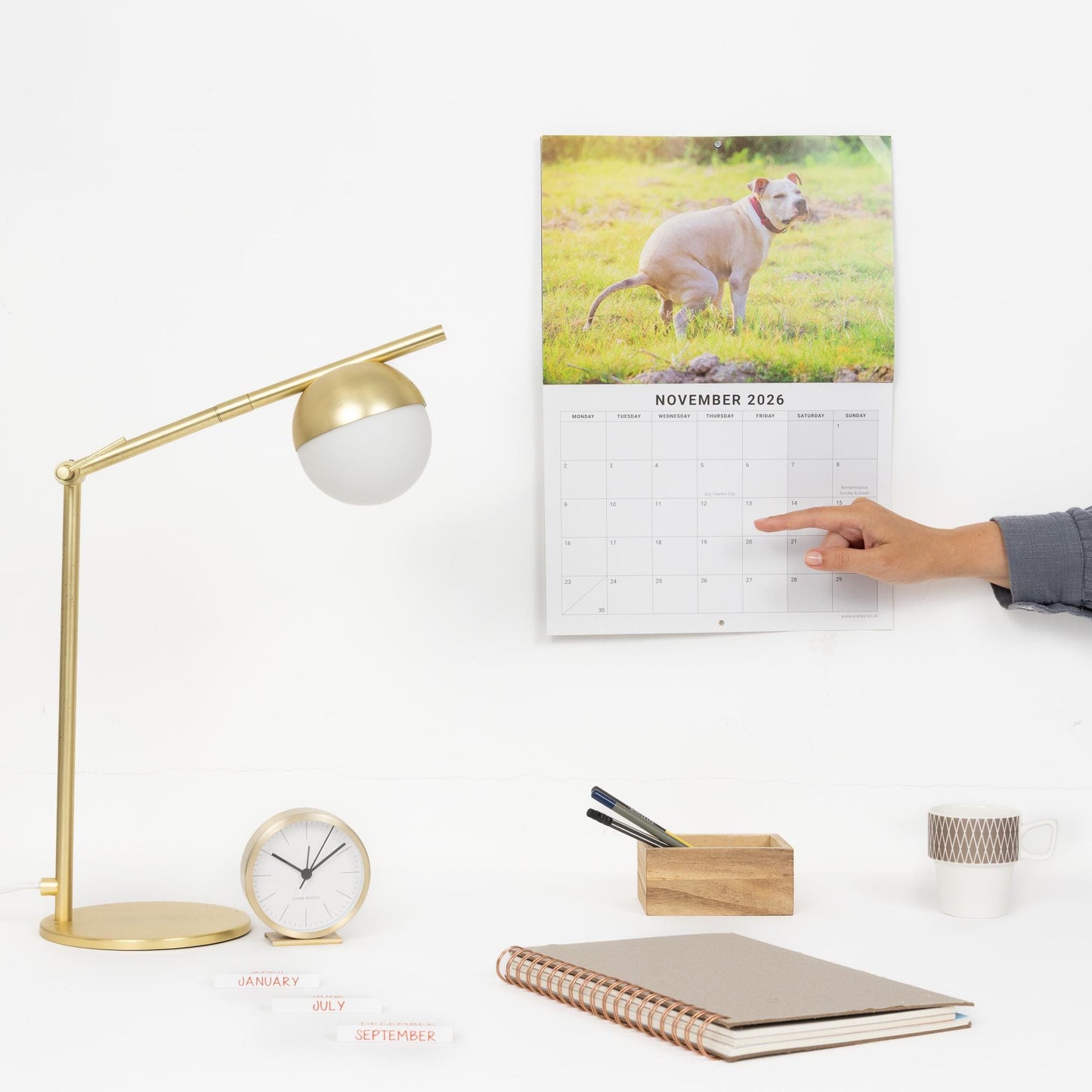 2026 Fun Pooing Dogs Calendar Wall Monthly Planner Staff Rota Secret Santa Gift