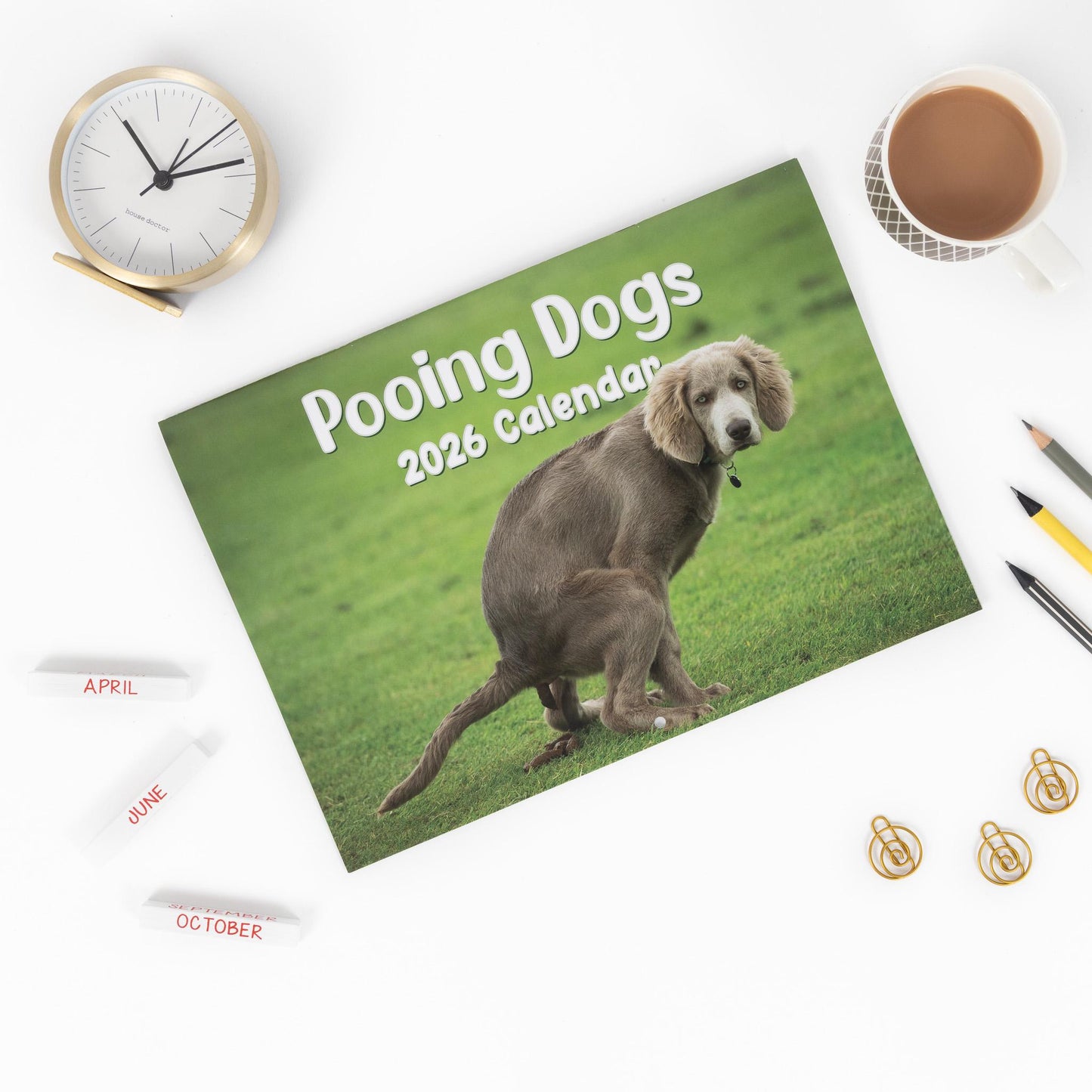 2026 Fun Pooing Dogs Calendar Wall Monthly Planner Staff Rota Secret Santa Gift