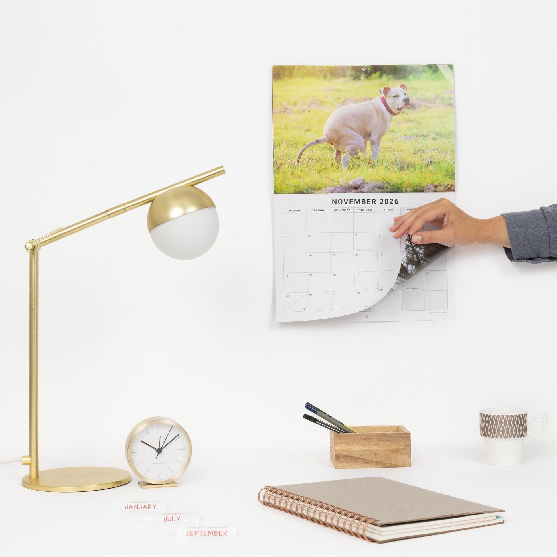2026 Fun Pooing Dogs Calendar Wall Monthly Planner Staff Rota Secret Santa Gift Etsy