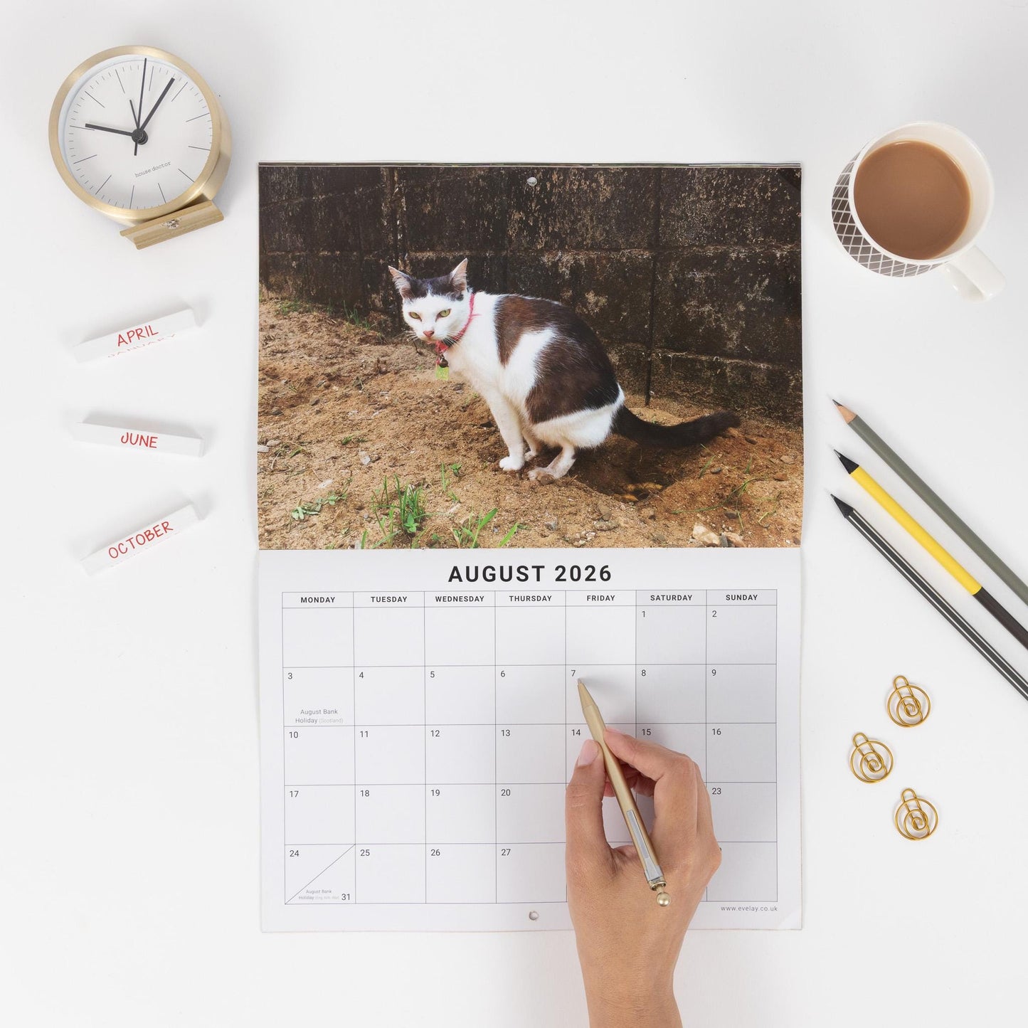 Funny Pooing Cats 2026 Wall Calendar: Monthly Planner