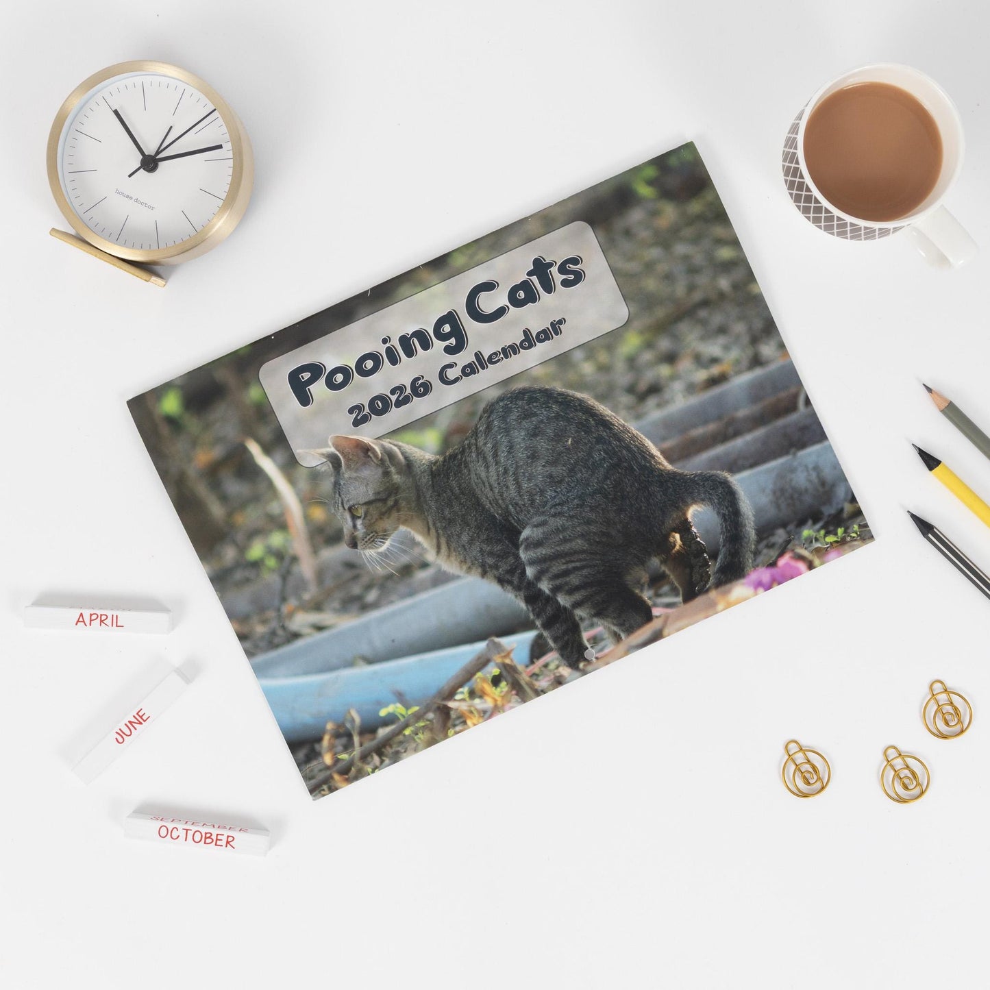 Funny Pooing Cats 2026 Wall Calendar: Monthly Planner