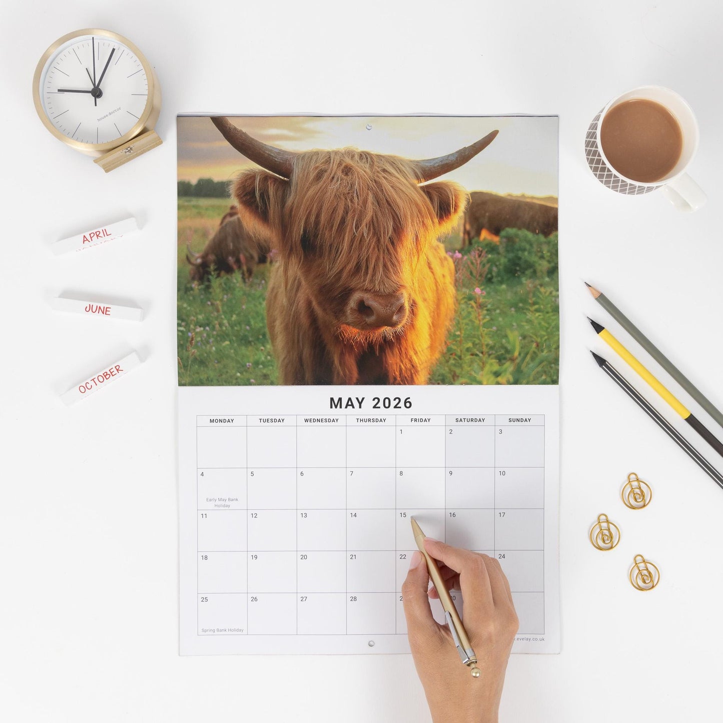 2026 Highland Cow Calendar Wall Monthly Planner Family Home Organiser