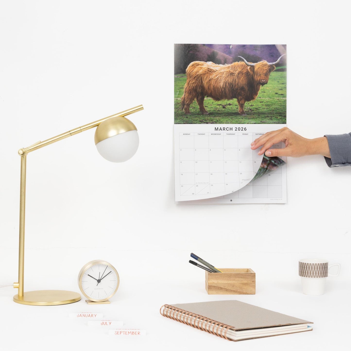 2026 Highland Cow Calendar Wall Monthly Planner Family Home Organiser