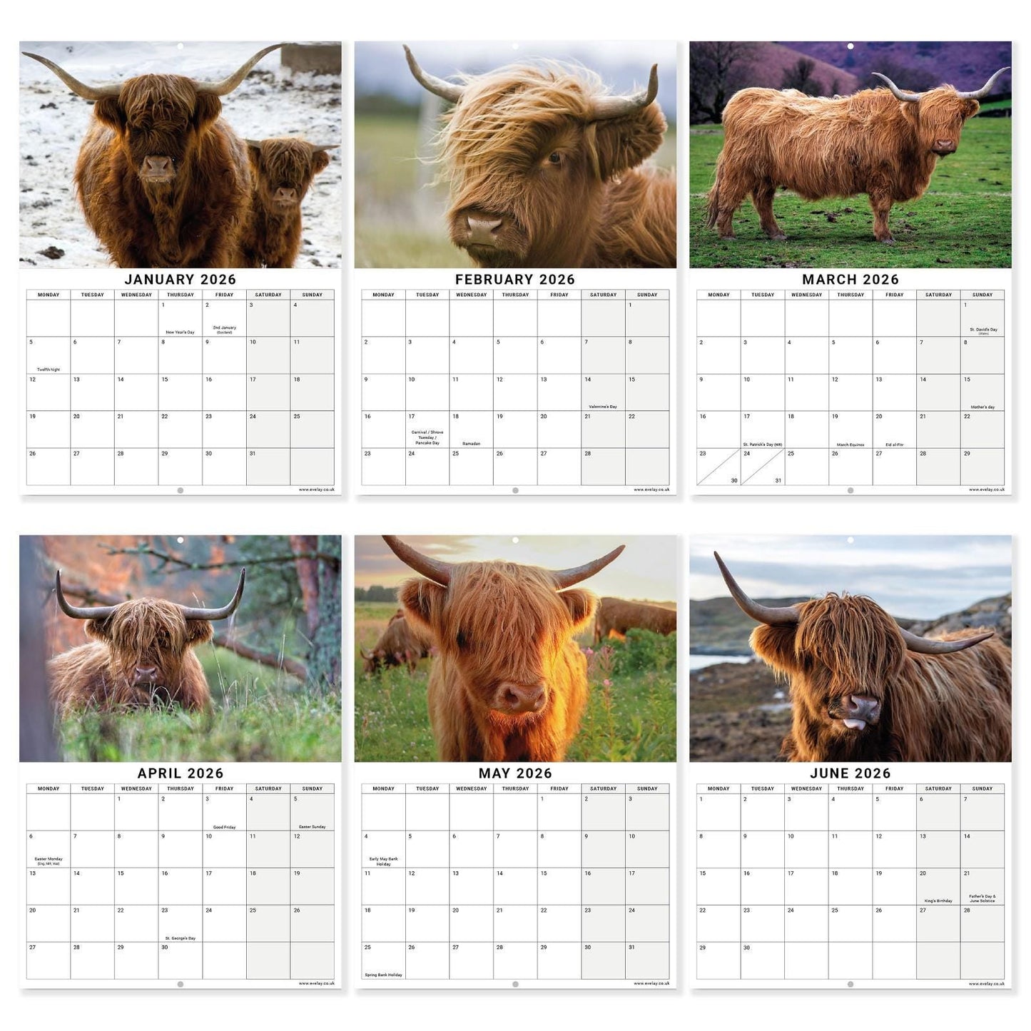 2026 Highland Cow Calendar Wall Monthly Planner Family Home Organiser