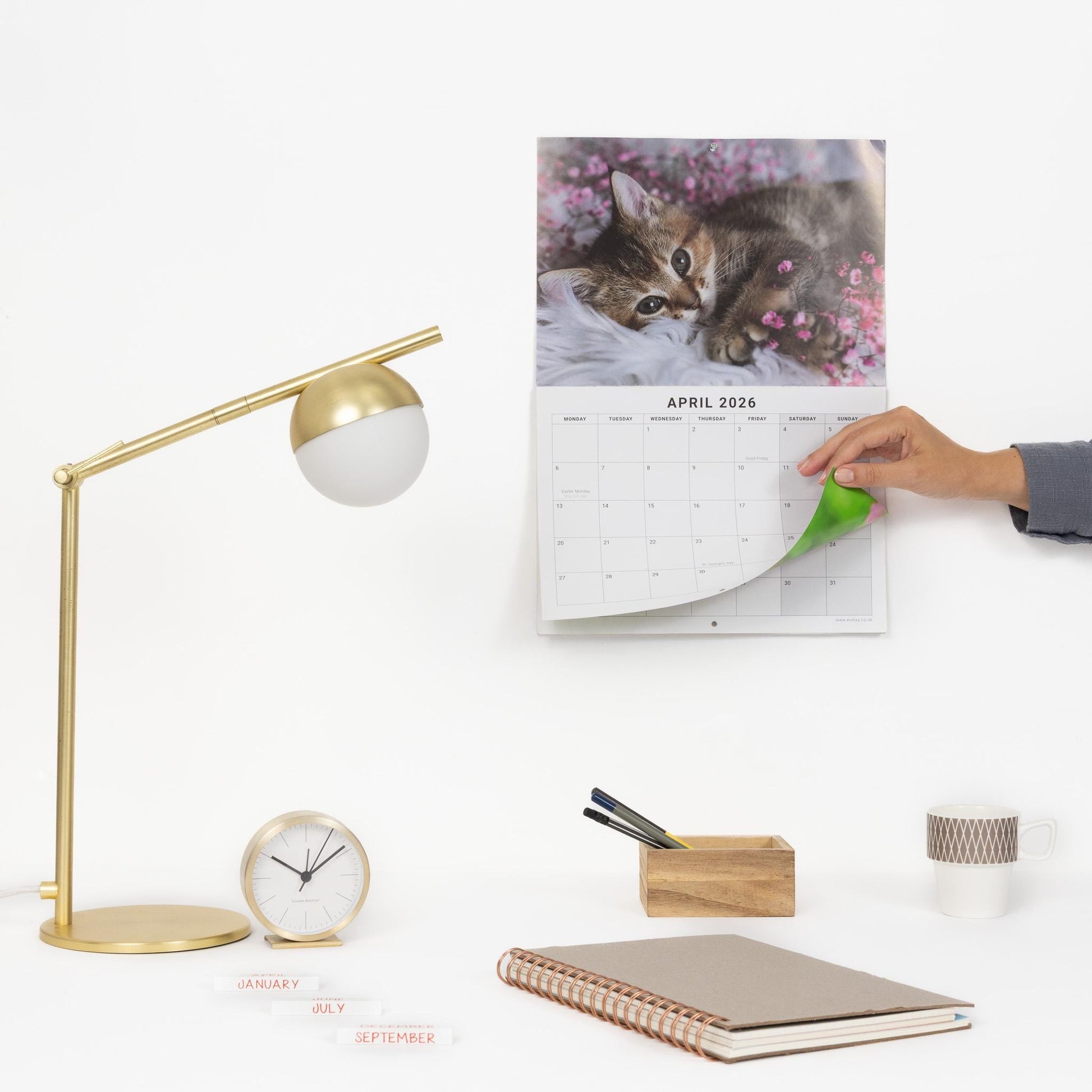 2026 Kittens Wall Calendar: Monthly Planner with Note Space Etsy