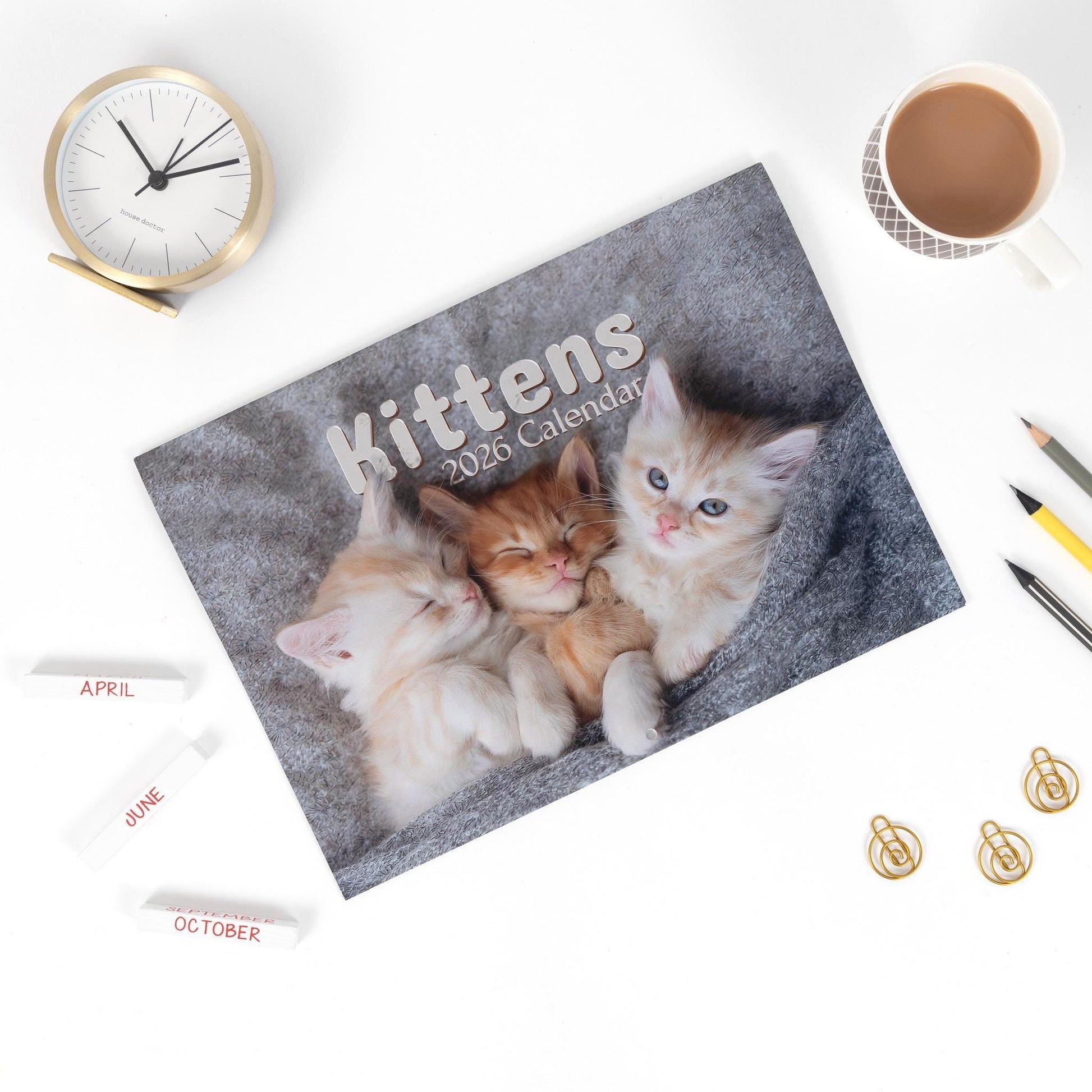2026 Kittens Wall Calendar: Monthly Planner with Note Space Etsy