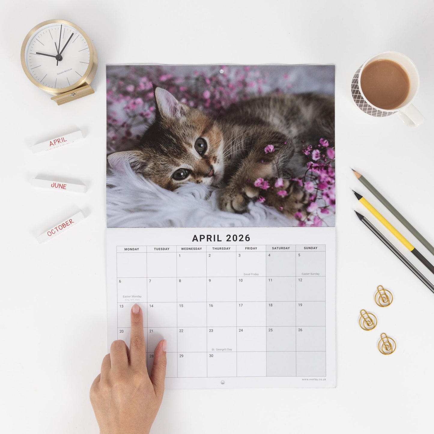 2026 Calendar Seasons Wall Monthly Planner Family Home Organiser 12 Months Seasons kitten