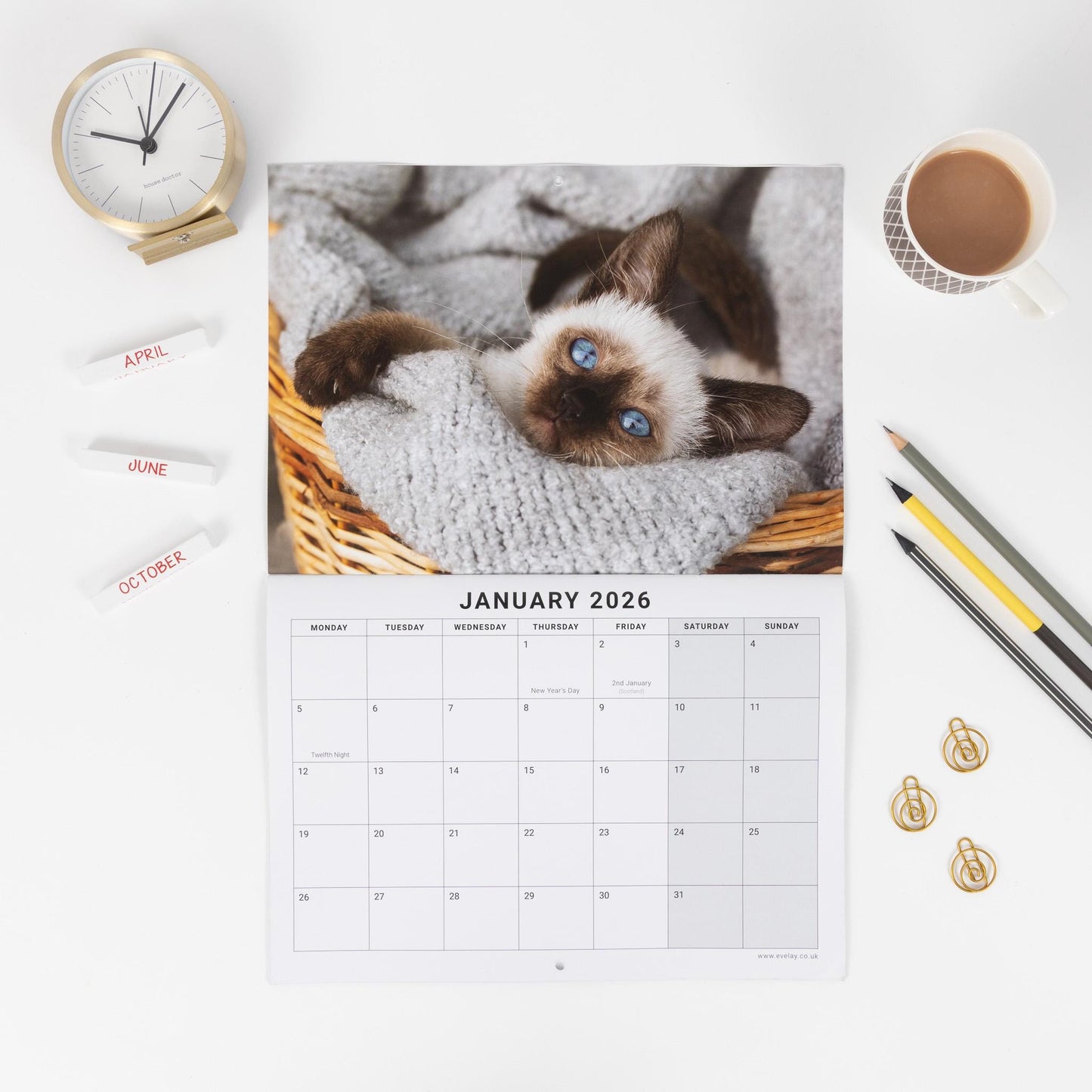 2026 Calendar Seasons Wall Monthly Planner Family Home Organiser 12 Months Seasons kitten